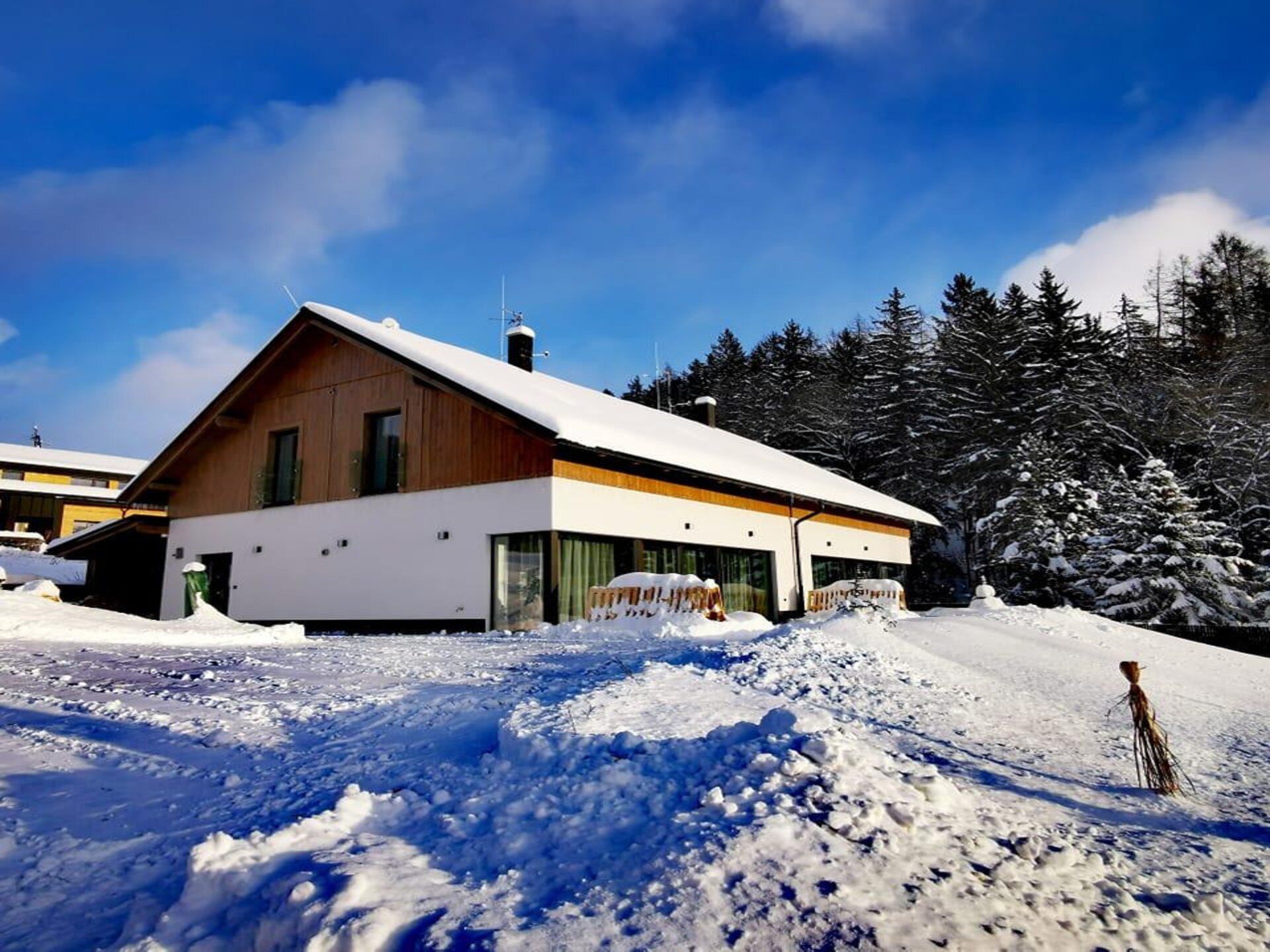 Villa in Cerný Dul op 800 m van de piste voor 8 personen - foto 1