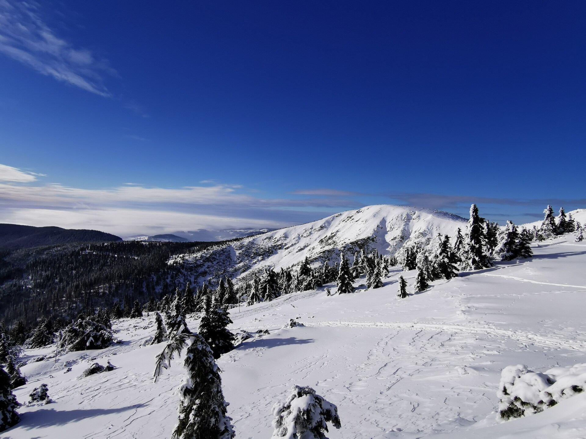 Moderne villa voor 8 aan de voet van de skipistes in Černý Důl - foto 31