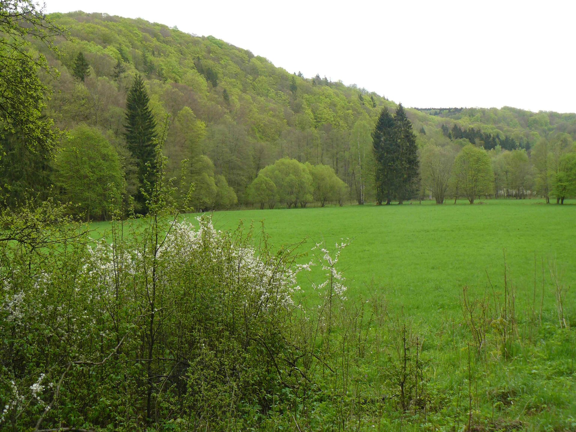 Modern vakantiehuis voor 2 in het groene Harzgebergte bij Dankerode - foto 10