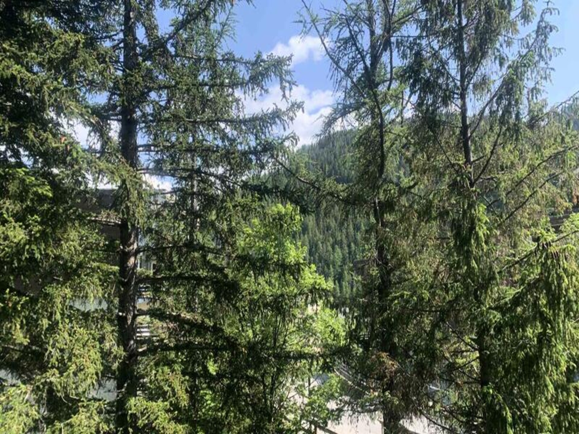 Ruim 7-persoons appartement op 40 meter van de piste in Uvernet Fours - foto 7