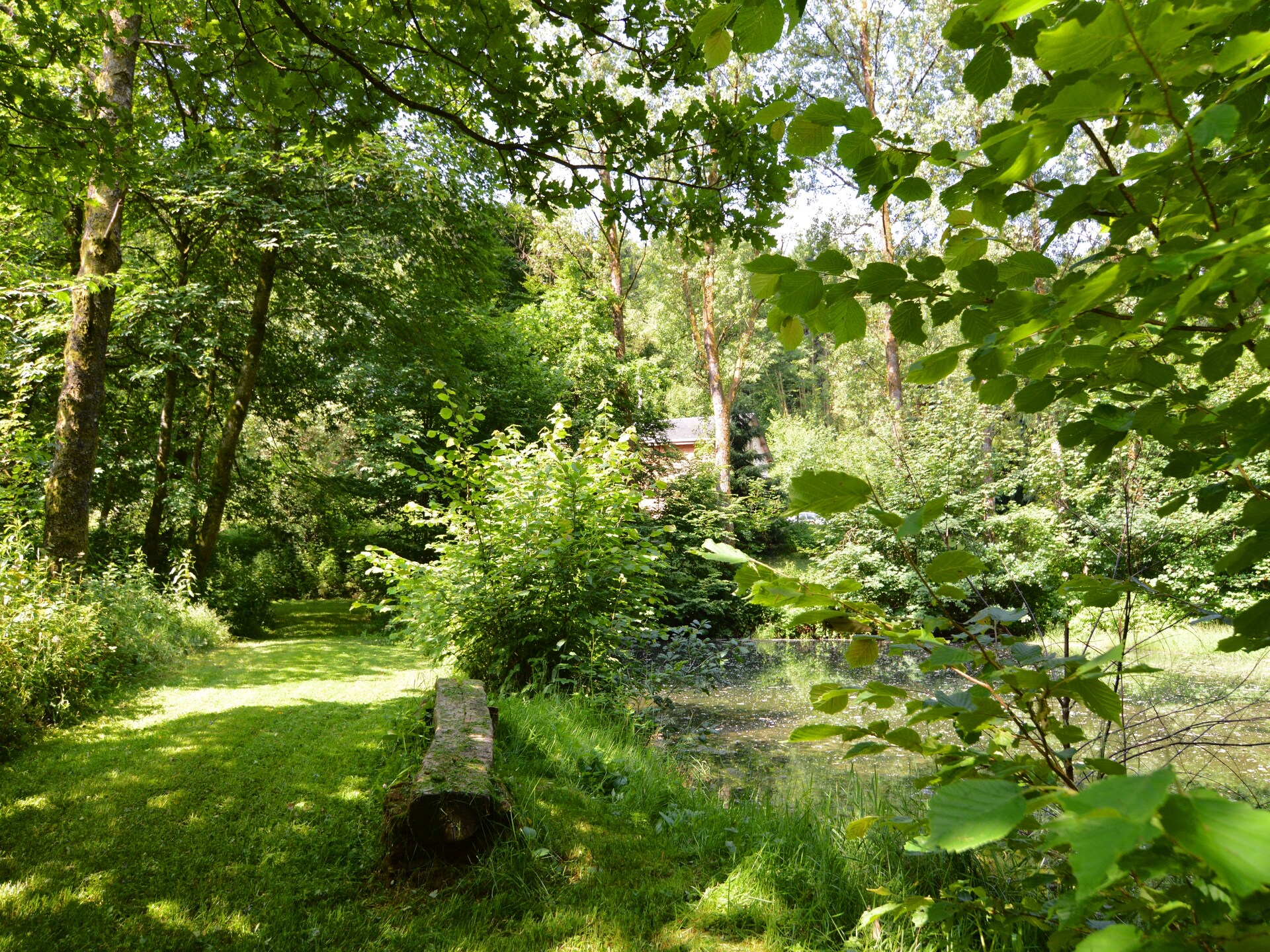 Op 1 km van het meer: 10-persoons vakantiehuis in Bouillon-Noirefontaine - foto 32