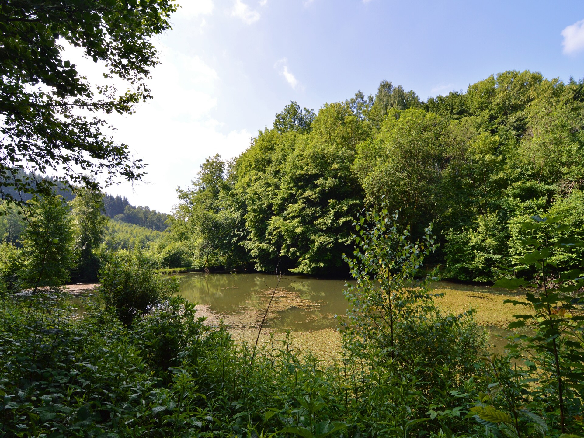 Op 1 km van het meer: 10-persoons vakantiehuis in Bouillon-Noirefontaine - foto 31