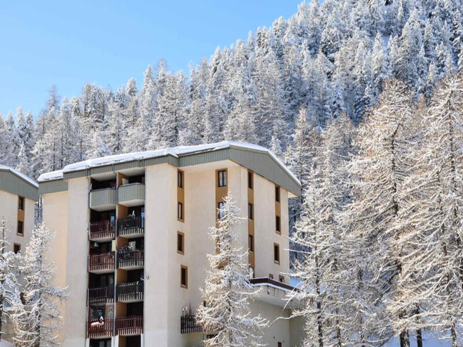 Ruim appartement op 50 meter van de piste in Montgenèvre - foto 1