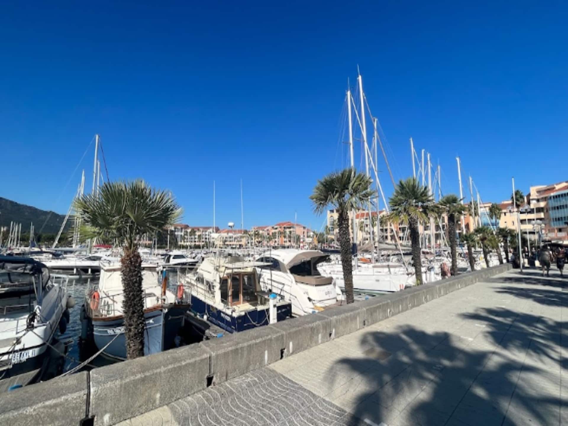 Knus appartement op 300m van strand met zwembad in Argelès-sur-Mer - foto 8