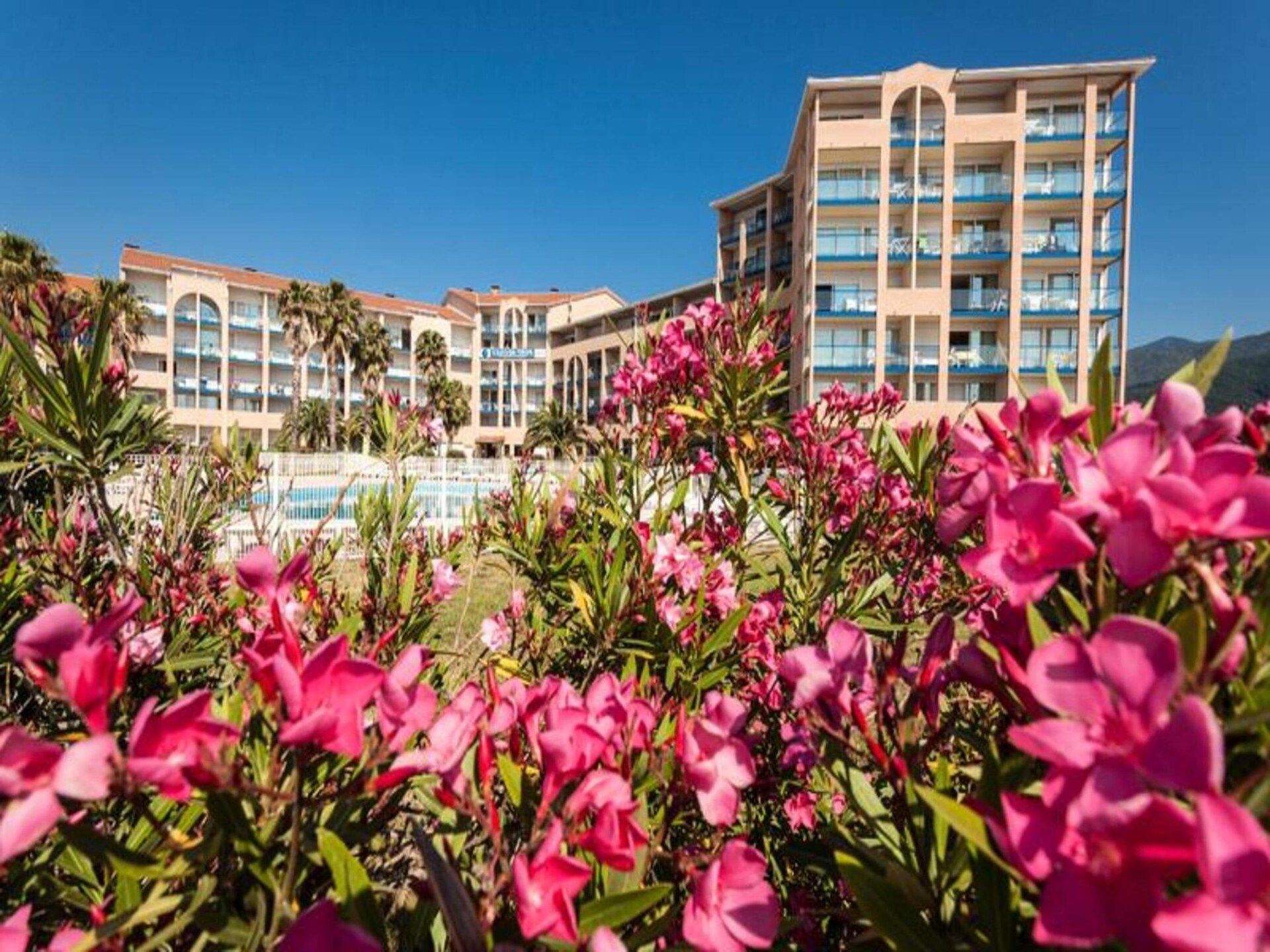 Knus appartement op 300m van strand met zwembad in Argelès-sur-Mer - foto 12