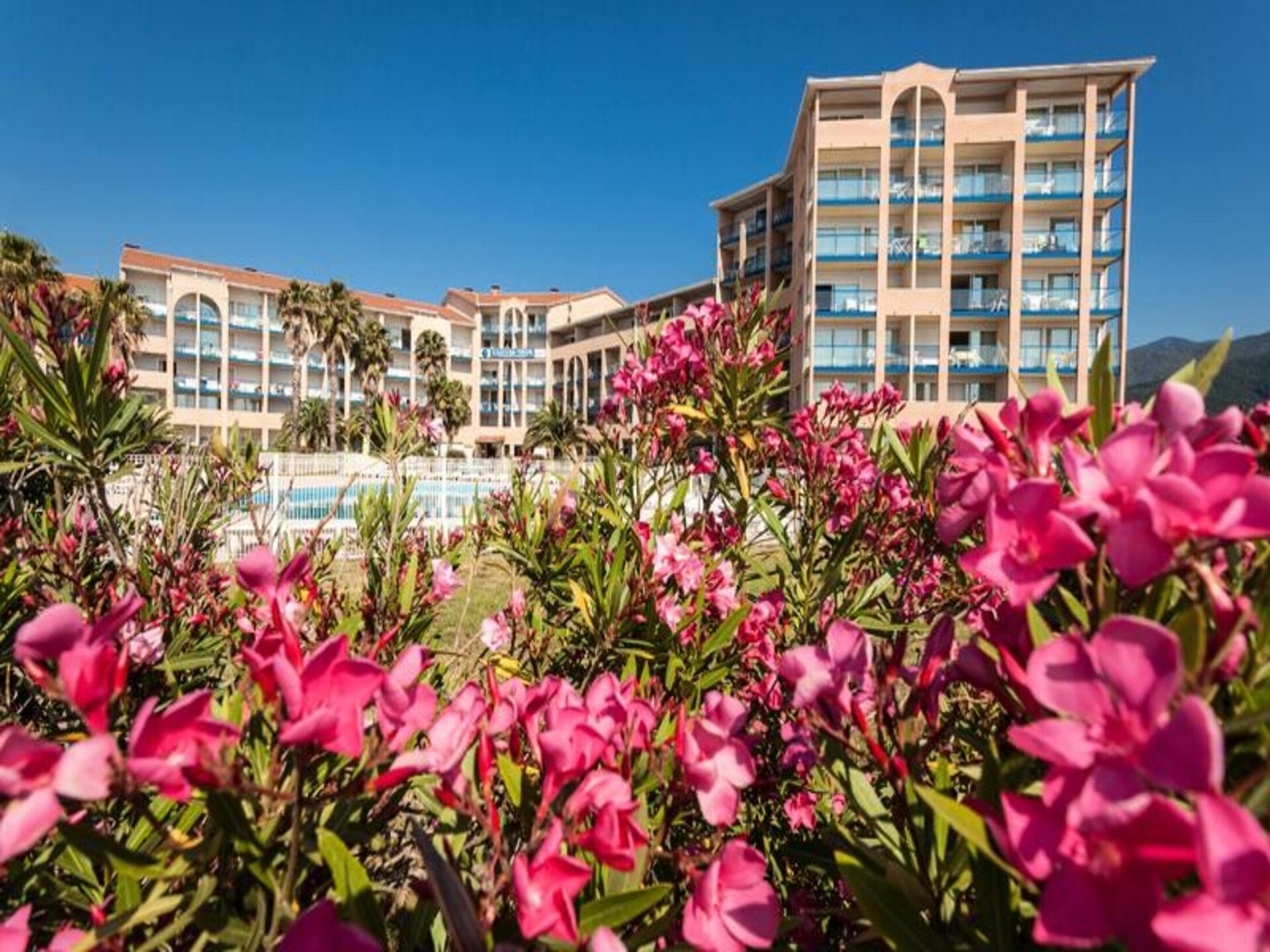 Knus appartement op 300m van strand met zwembad in Argelès-sur-Mer - foto 29