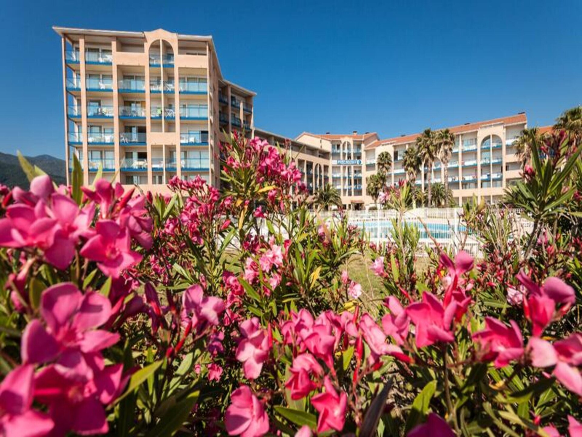 Knus havenappartement voor 4, op 300m van het strand in Argelès-sur-Mer - foto 22