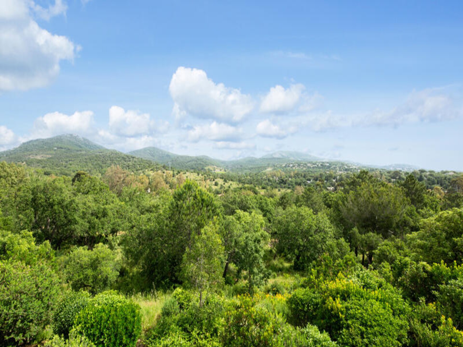 Ruim appartement bij Saint-Tropez met bergzicht en terras - foto 19