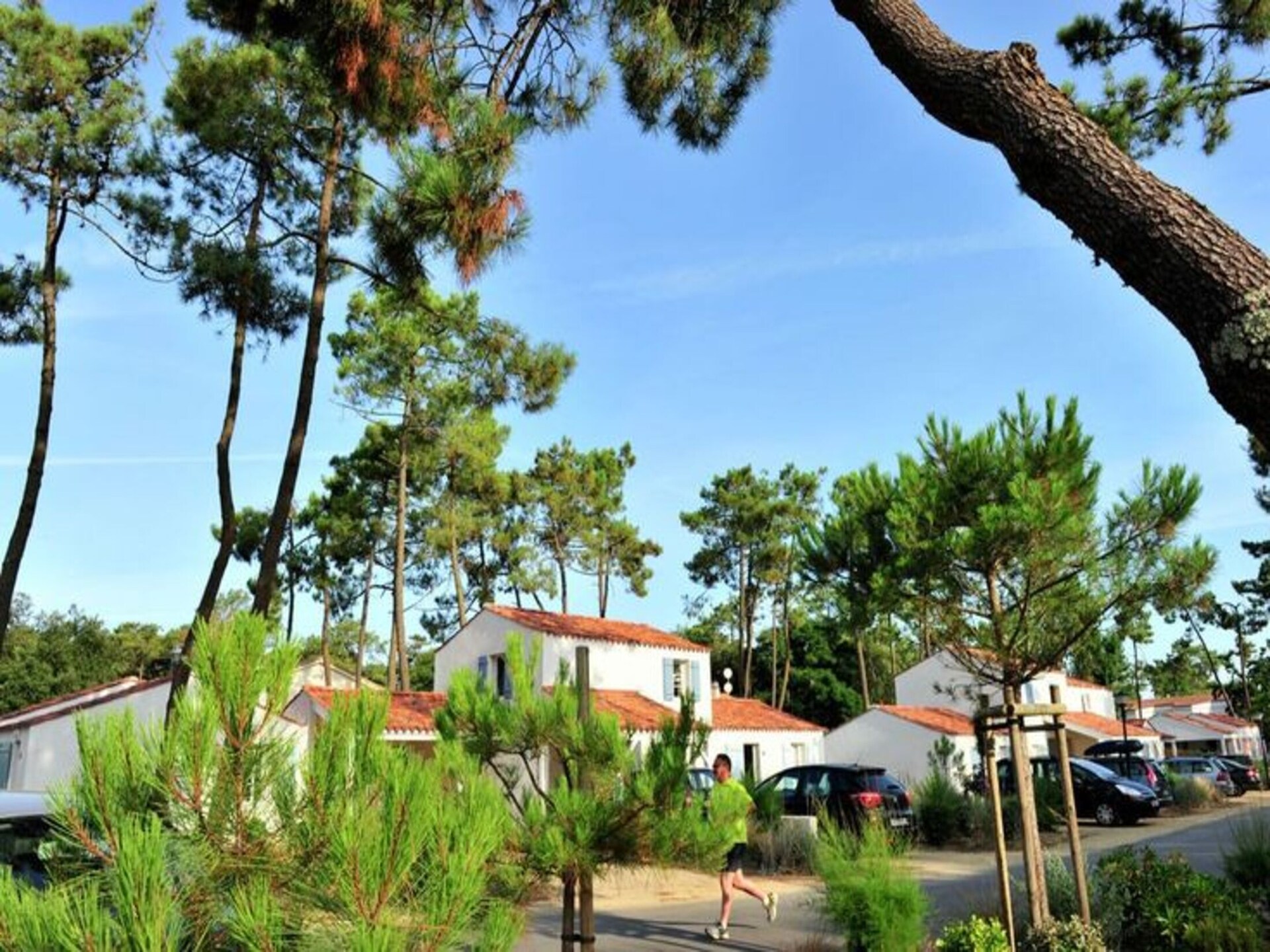 Knus appartement in dennenbos, op 3 km van het strand van Lacanau - foto 19