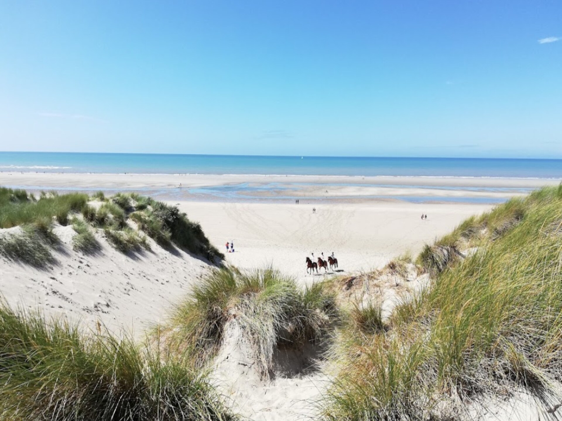 Appartement 4 pers. aan paardenrenbaan met zwembad en tennis in Le Touquet - foto 37