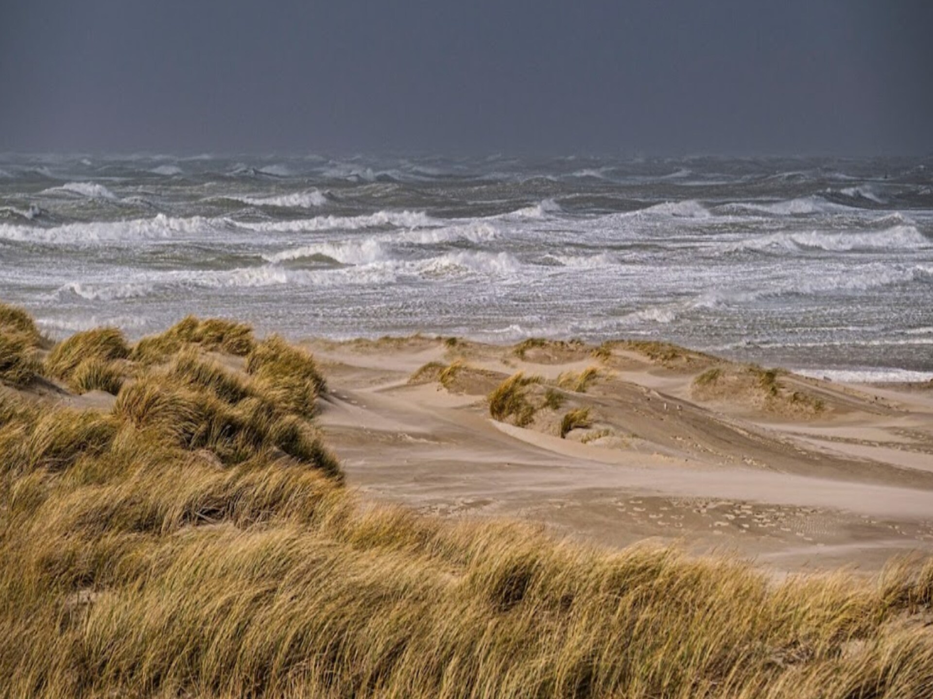 Appartement 4 pers. aan paardenrenbaan met zwembad en tennis in Le Touquet - foto 40
