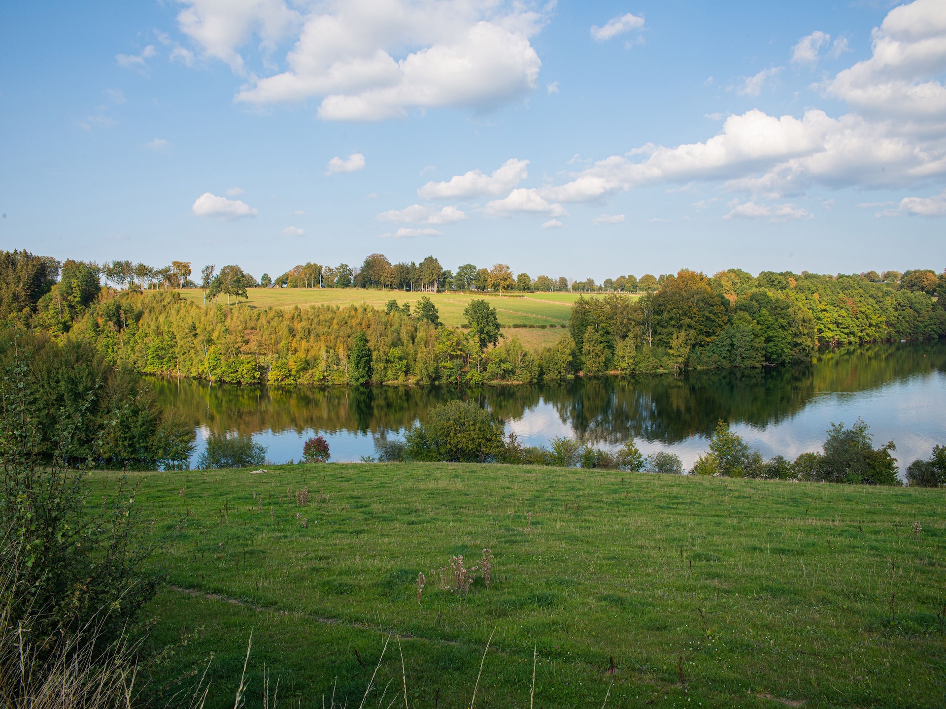 23-persoons landhuis met sauna en biljart in Les Hautes Fagnes-Walk - foto 38