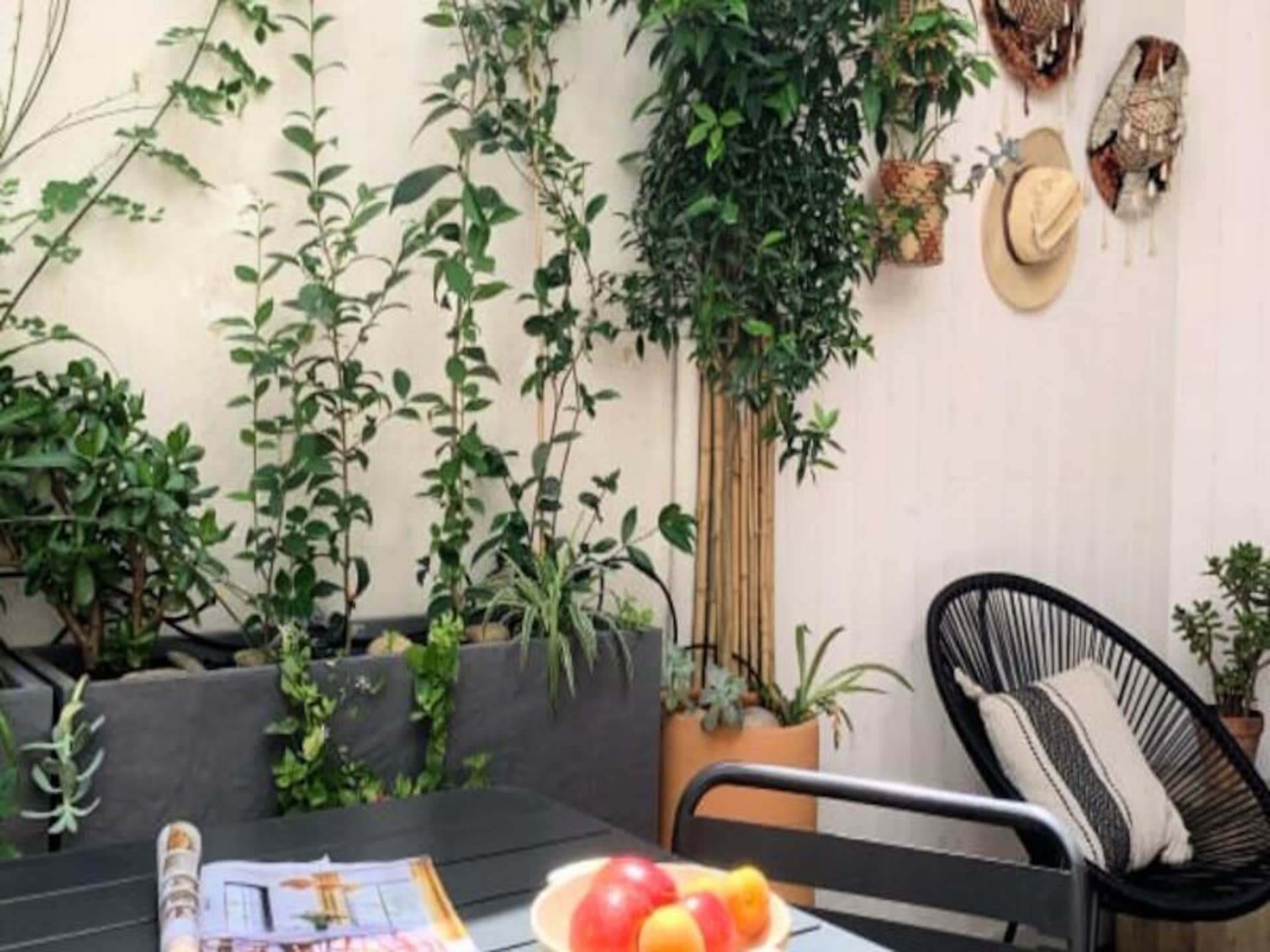 Licht appartement met zeldzaam privéterras in hartje Montpellier - foto 45