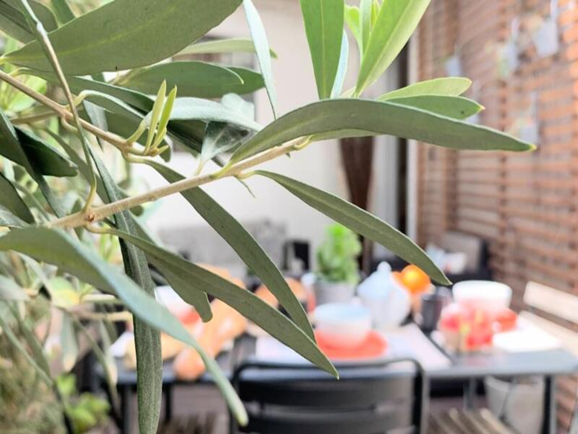 Licht appartement met zeldzaam privéterras in hartje Montpellier - foto 49