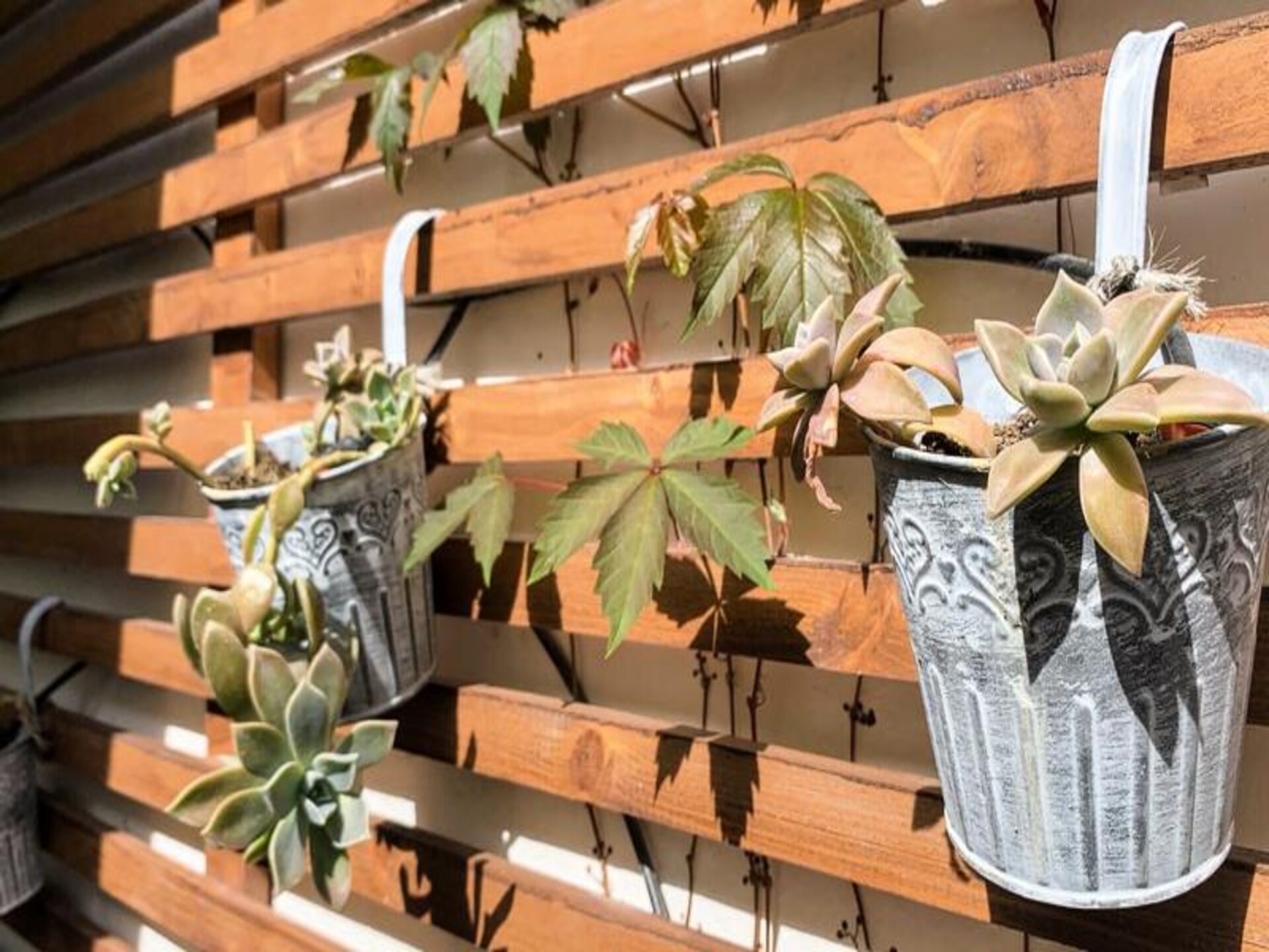 Licht appartement met zeldzaam privéterras in hartje Montpellier - foto 51