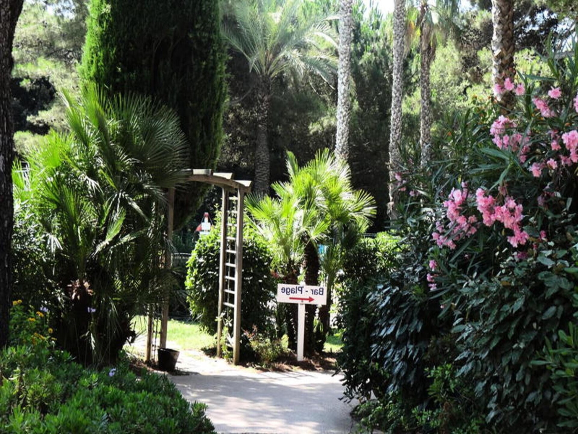 Knus appartement in bosrijk park, vlakbij strand Giens - foto 35