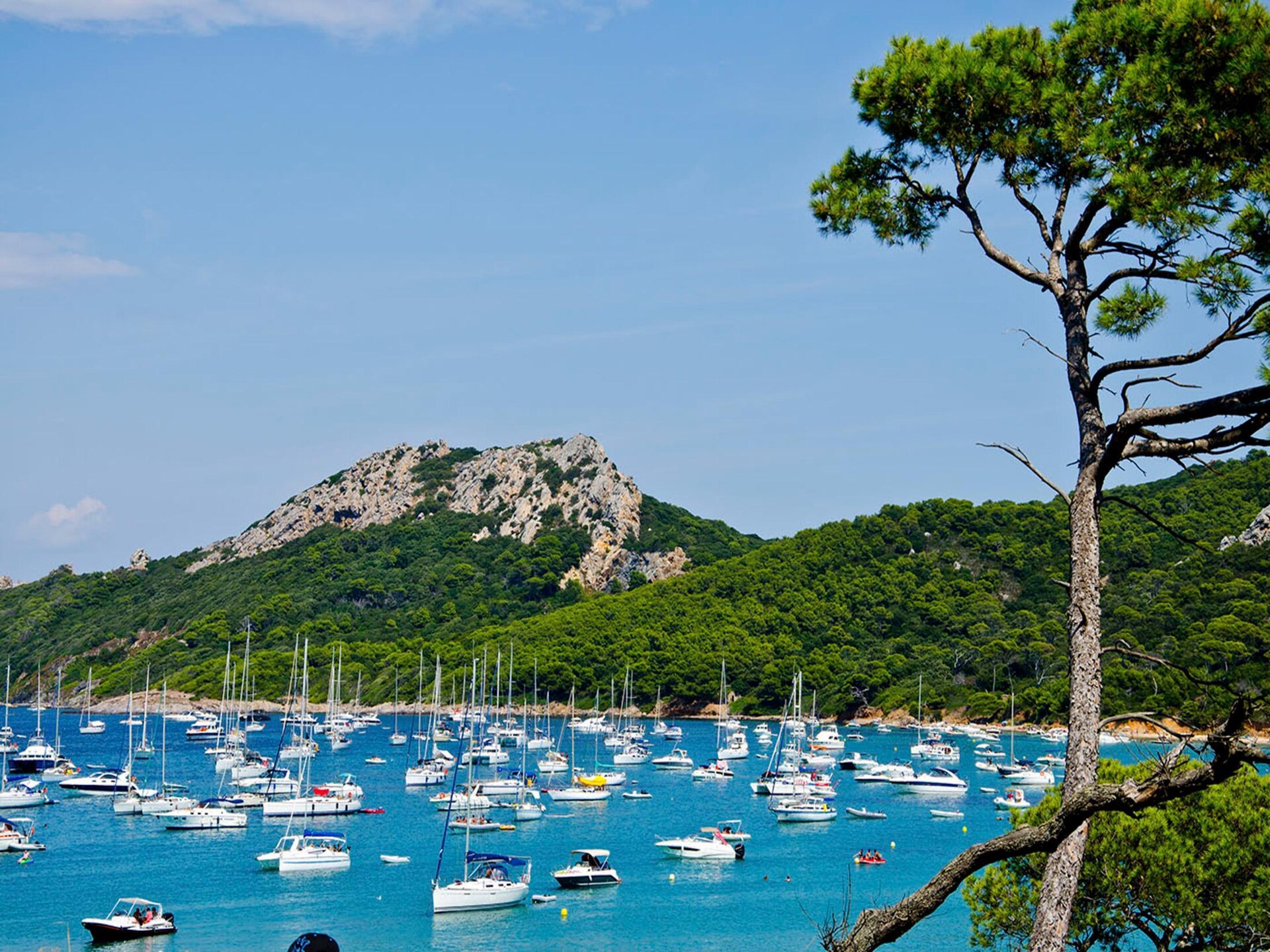 Knus appartement op 300m van strand in Hyères, uitzicht op Gouden Eilanden - foto 29