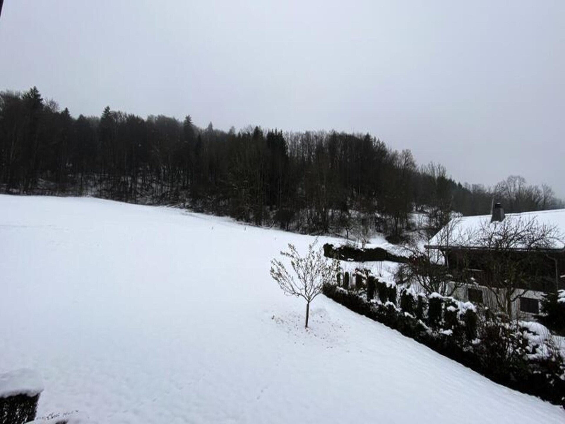 Knusse studio voor 4 in Morillon, 100m van de gondel - foto 10