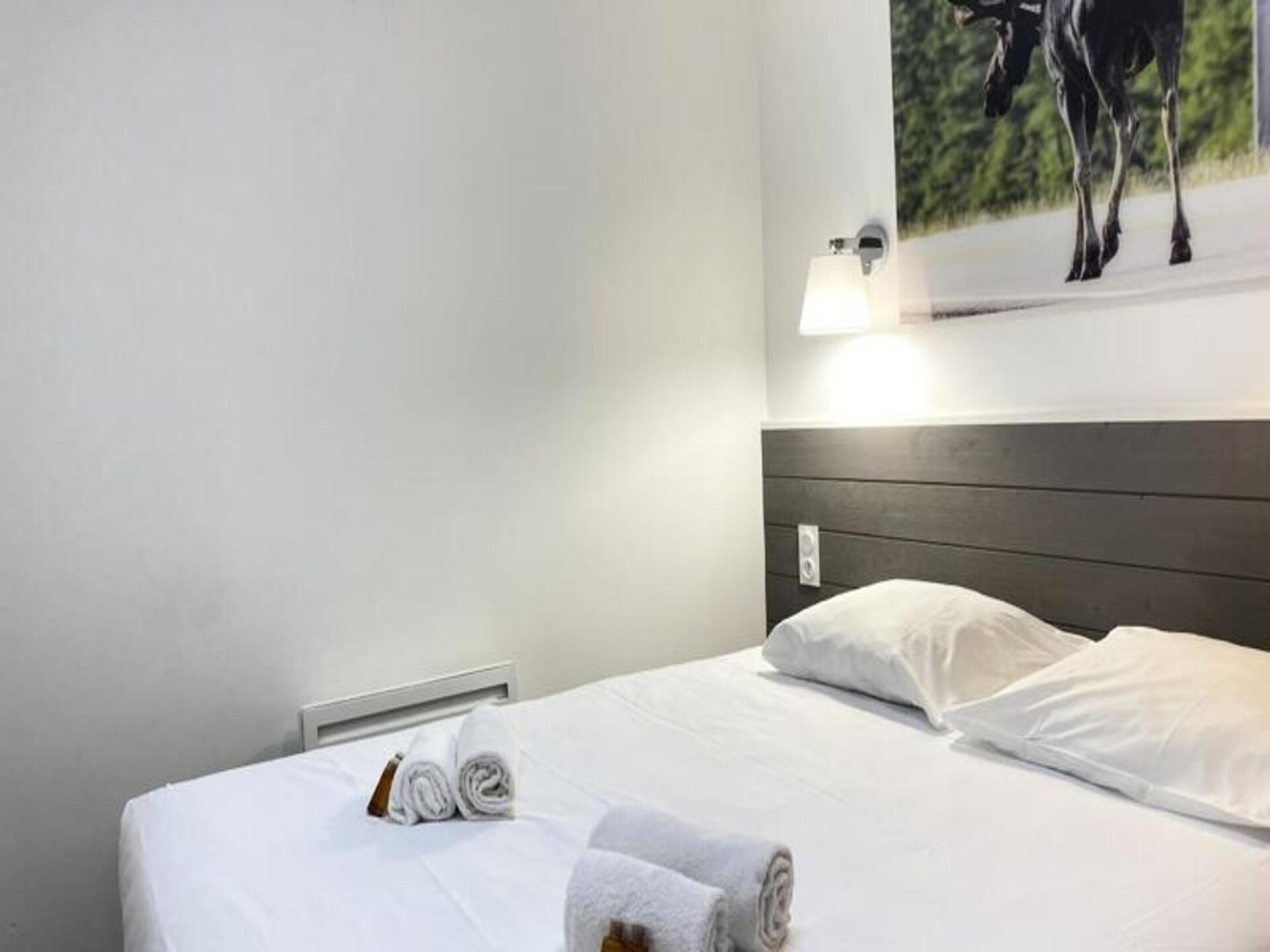 Villa Canada – Sfeervol bosappartement voor 6 personen in Domaine Le Sherwood - foto 19
