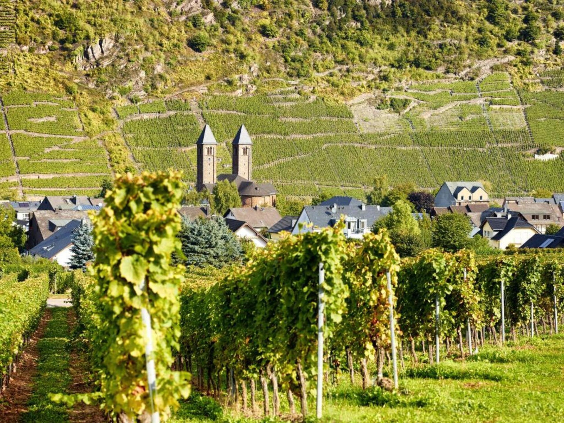 Knus appartement aan de Moezel met tuin, vlakbij Cochem - foto 27