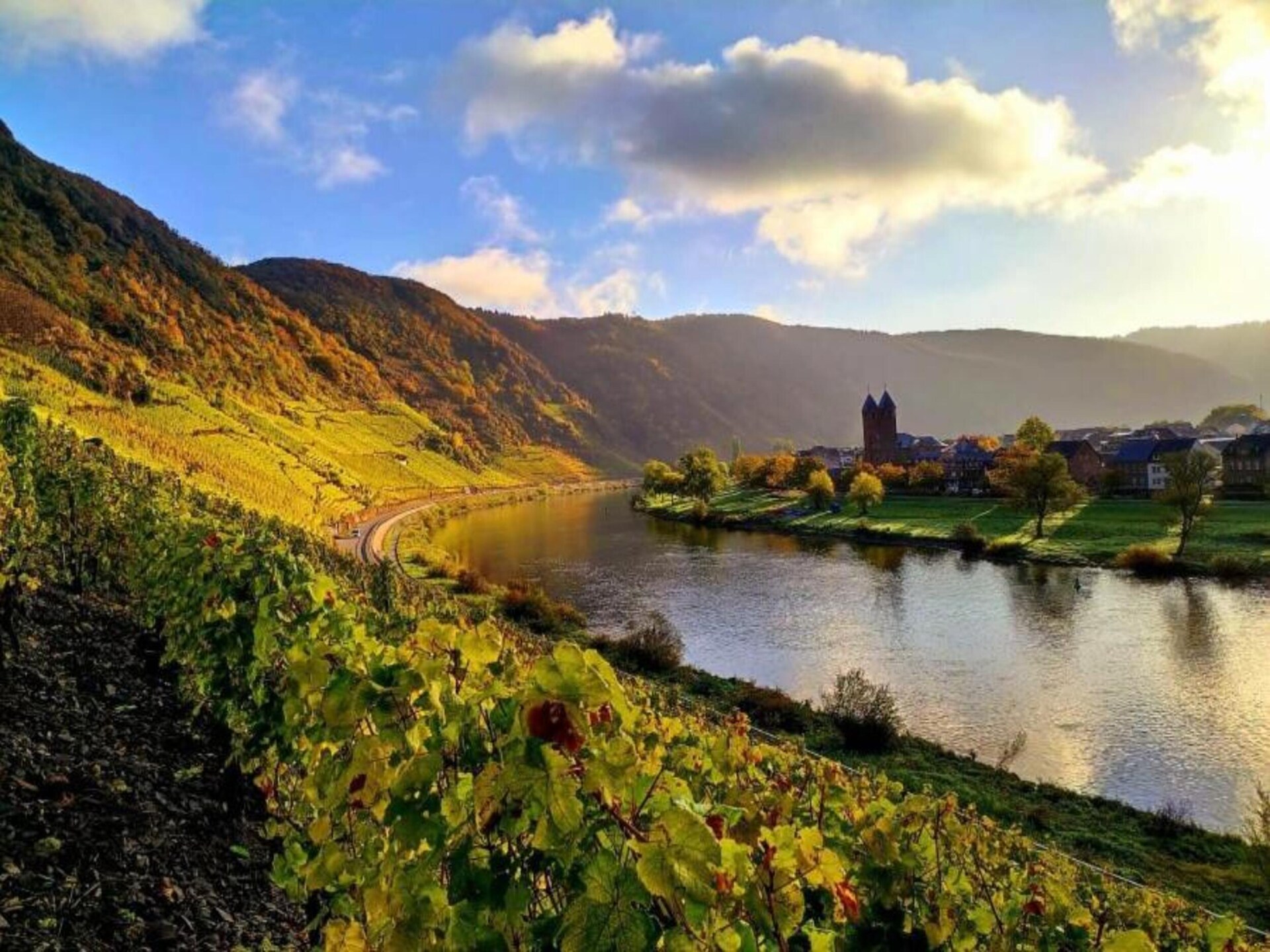 Knus appartement aan de Moezel met tuin, vlakbij Cochem - foto 24