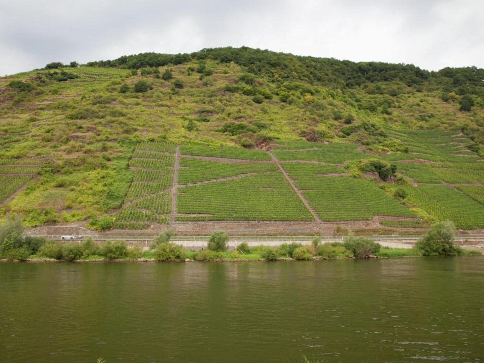 Knus appartement aan de Moezel met tuin, vlakbij Cochem - foto 22