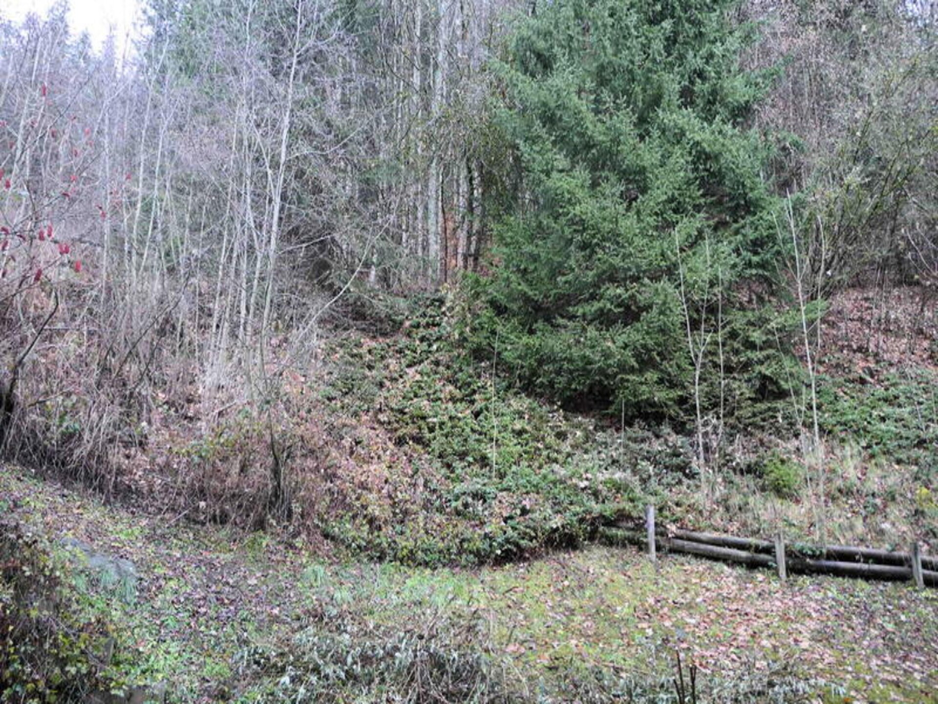 Ruim appartement met privétuin en bergzicht in Saint-Gervais - foto 7
