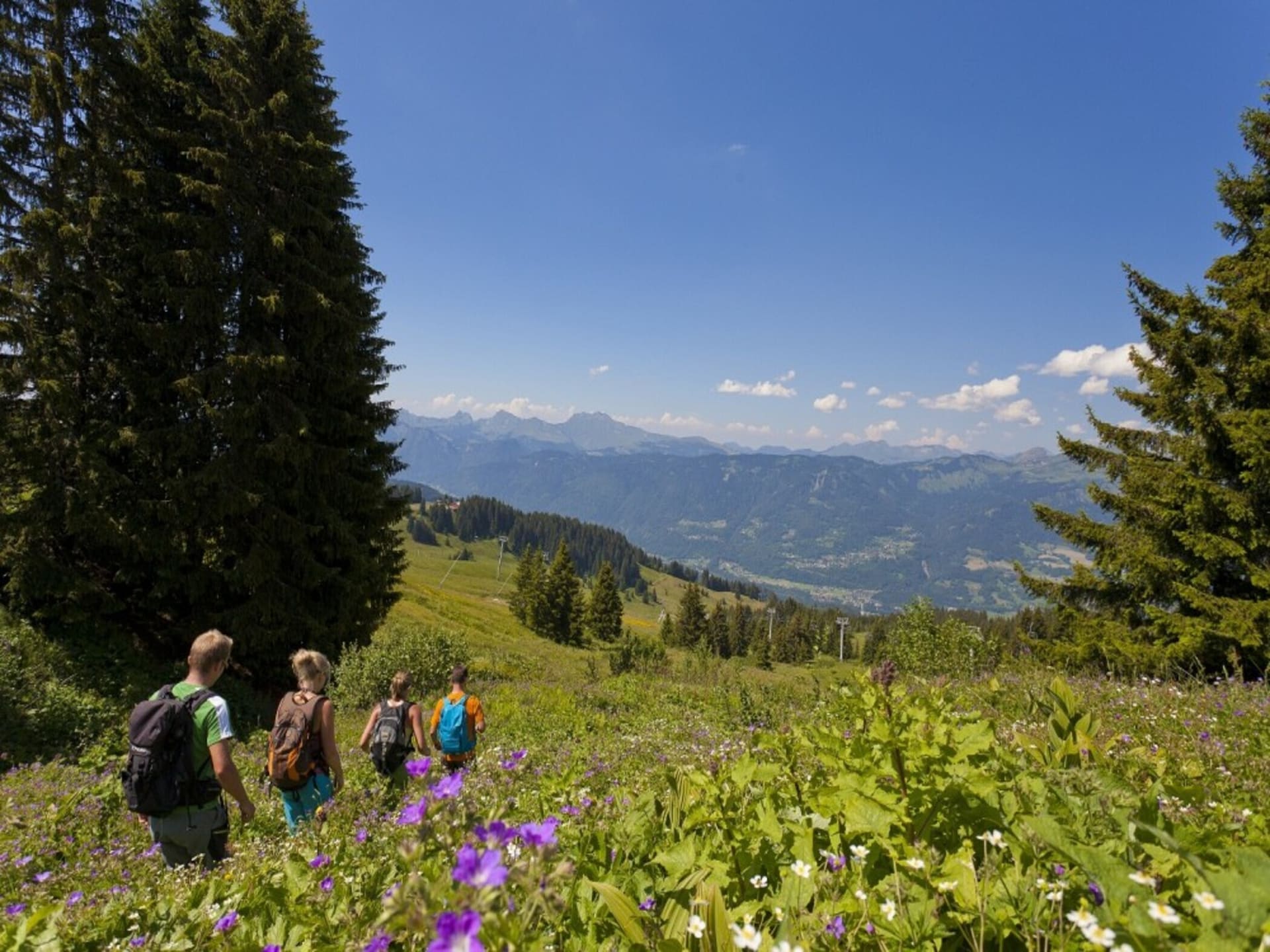 Knusse studio voor 4 in Morillon, vlakbij het centrum en de pistes - foto 18