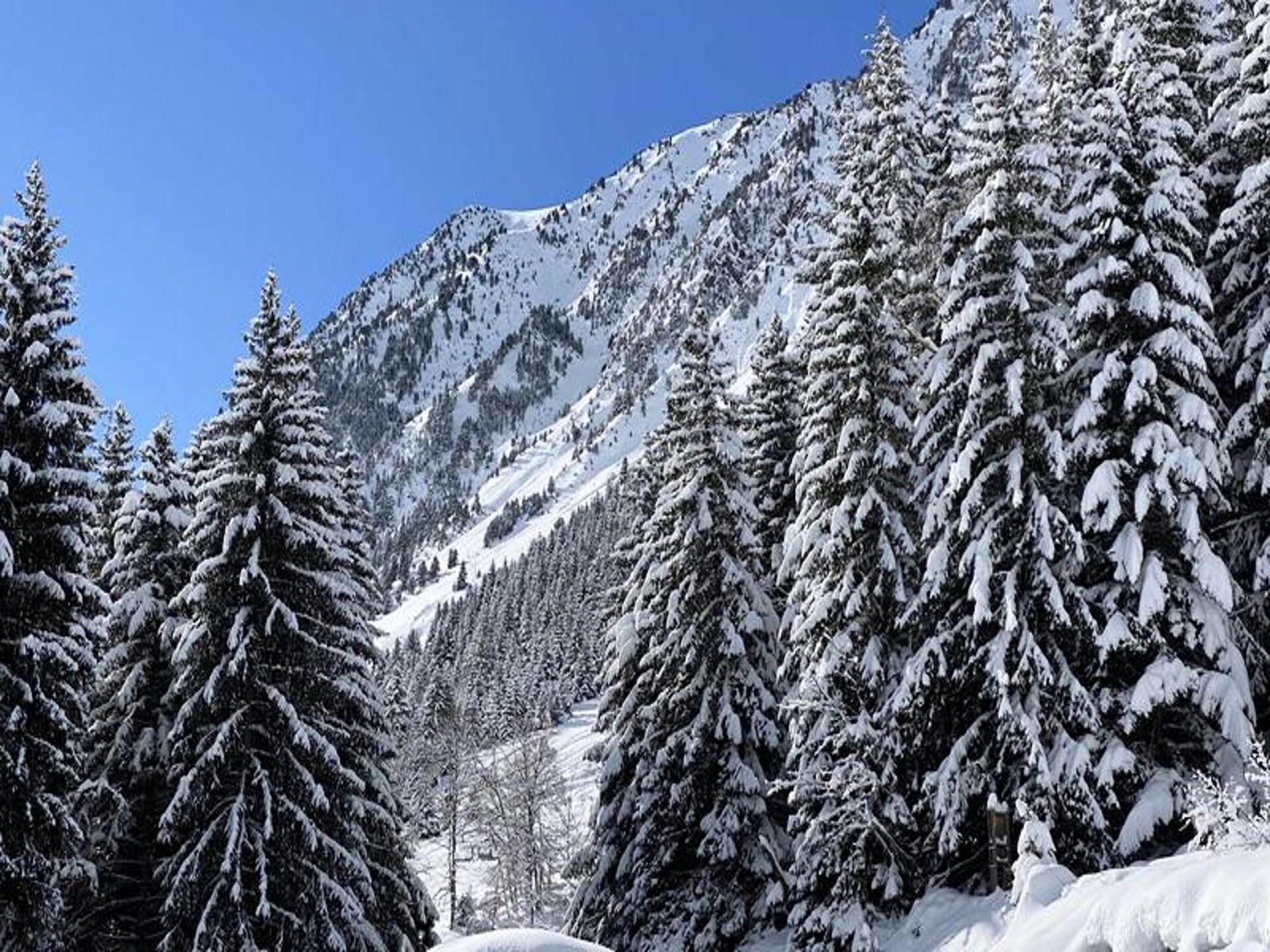 Knus studio-appartement voor 3 personen, 25m van de skibus in Barèges - foto 21