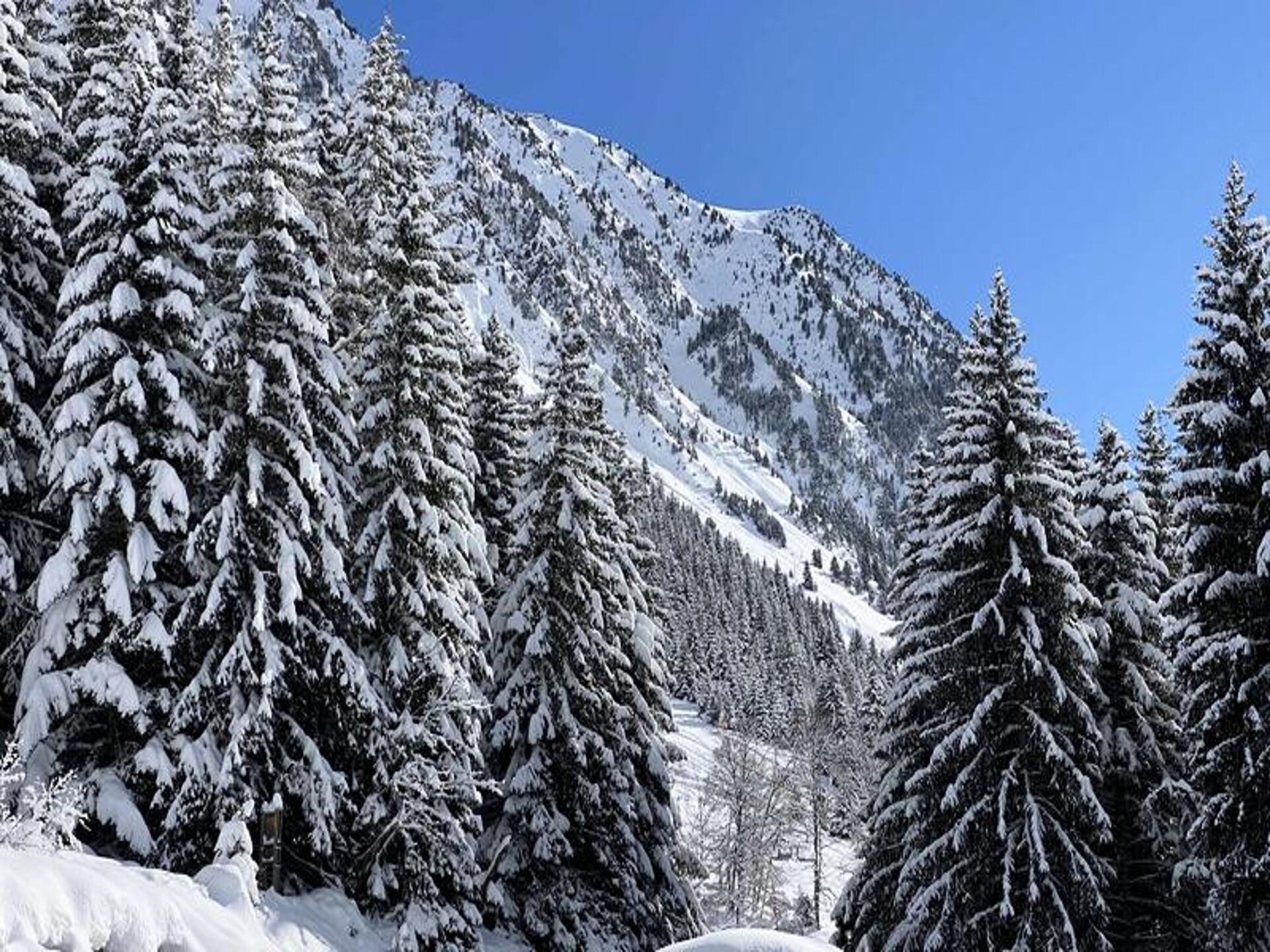 Knus studio-appartement voor 3 personen, 25m van de skibus in Barèges - foto 22