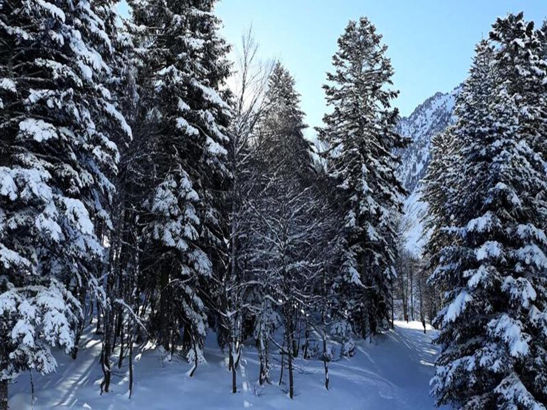 Knusse studio voor 4 op de bergflank in Barèges met uitzicht - foto 21