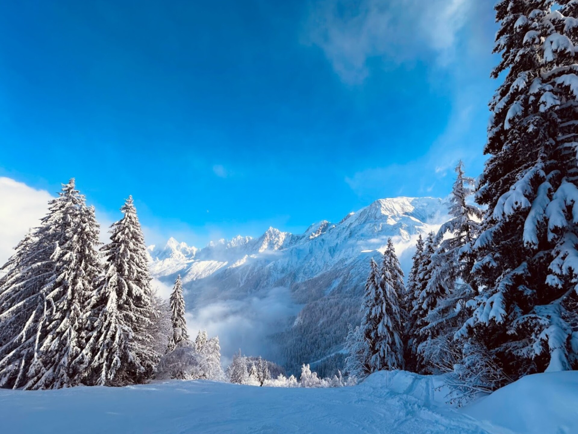 Knusse studio in Les Houches, 300m van de Bellevue-kabelbaan - foto 19