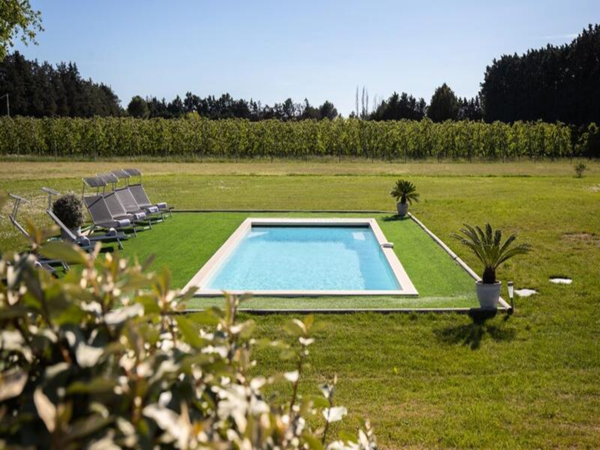 Modern vakantiehuis met privézwembad en wijngaardzicht bij Isle-sur-la-Sorgue - foto 19