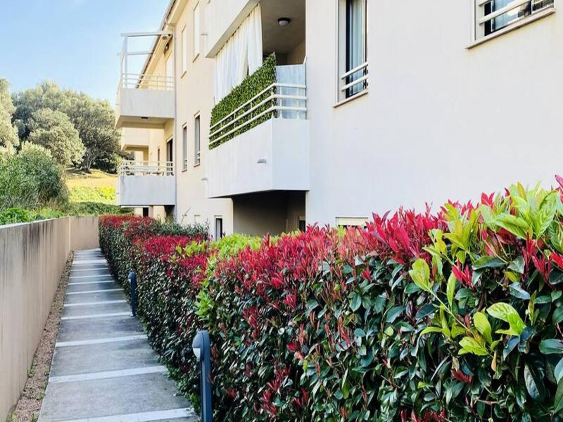 Appartement in Propriano met zeezicht, vlakbij strand en haven - foto 20