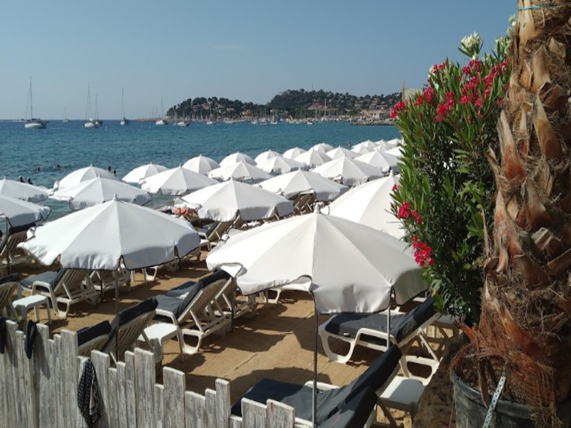 Knus appartement op 100 meter van het strand in Propriano - foto 31