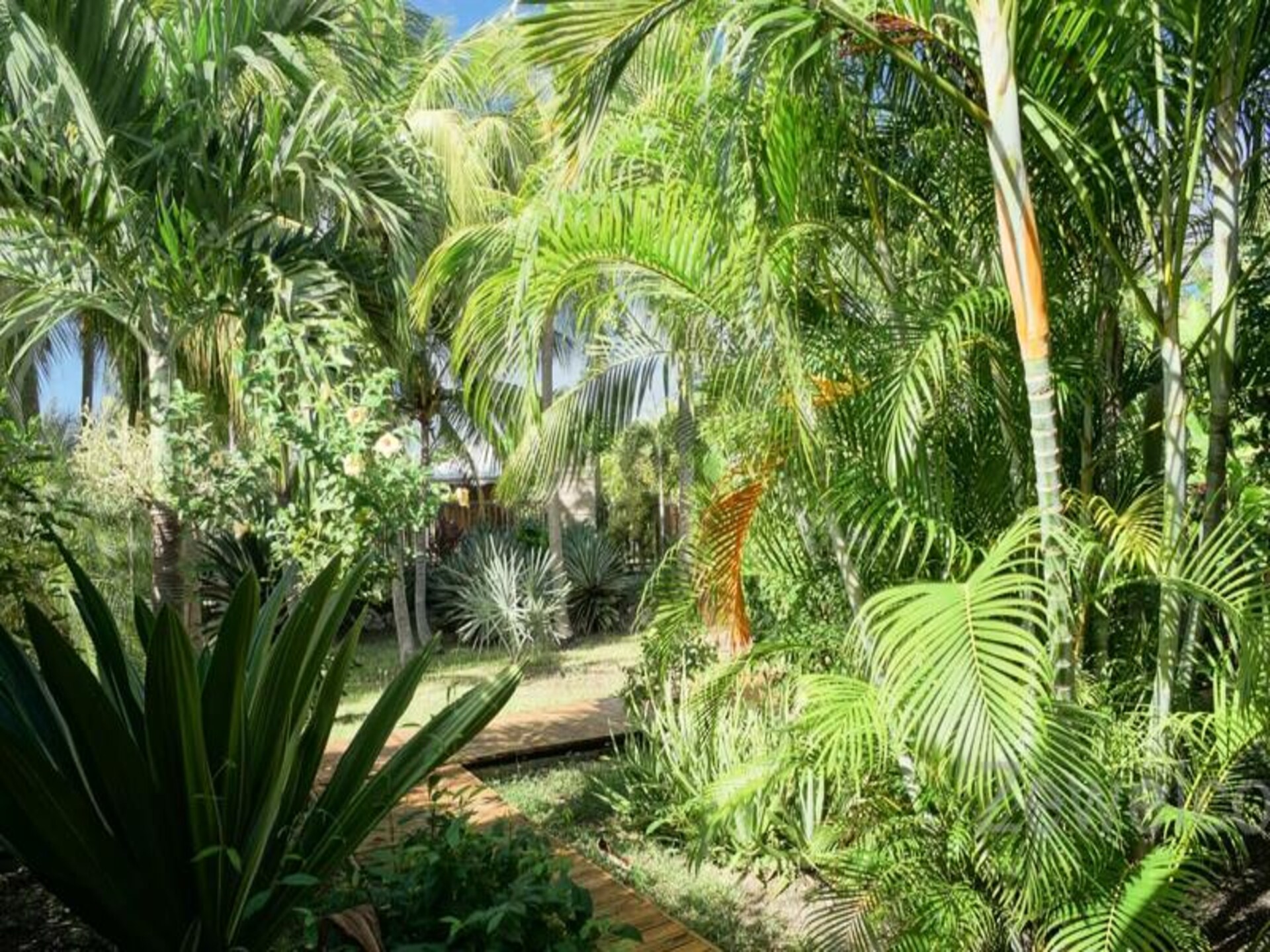Creoolse bungalow met zwembad in tropische tuin, vlakbij stranden Saint-François - foto 3