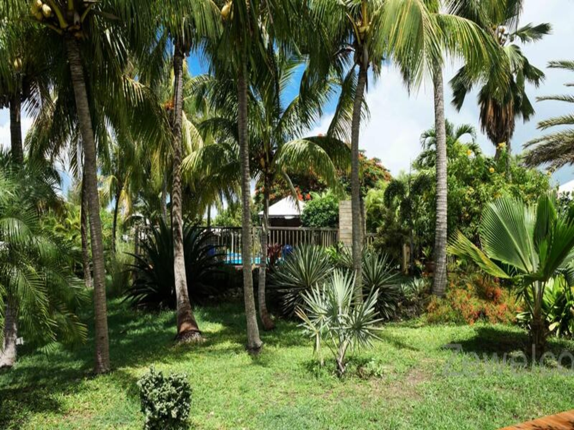 Creoolse bungalow met zwembad in tropische tuin, vlakbij stranden Saint-François - foto 13