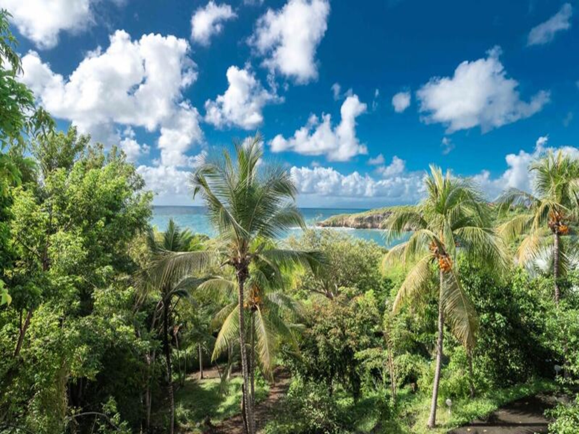 Villa Nora: Luxe appartement voor 8 in Saint-François met privézwembad - foto 35