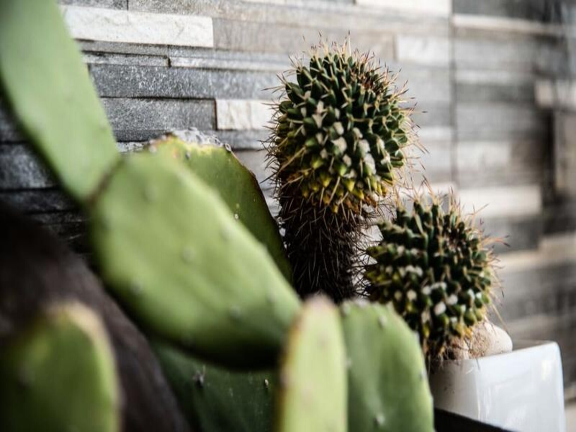 Appartement Honoré: Romantisch verblijf met uitzicht op jachthaven en golfbaan - foto 14