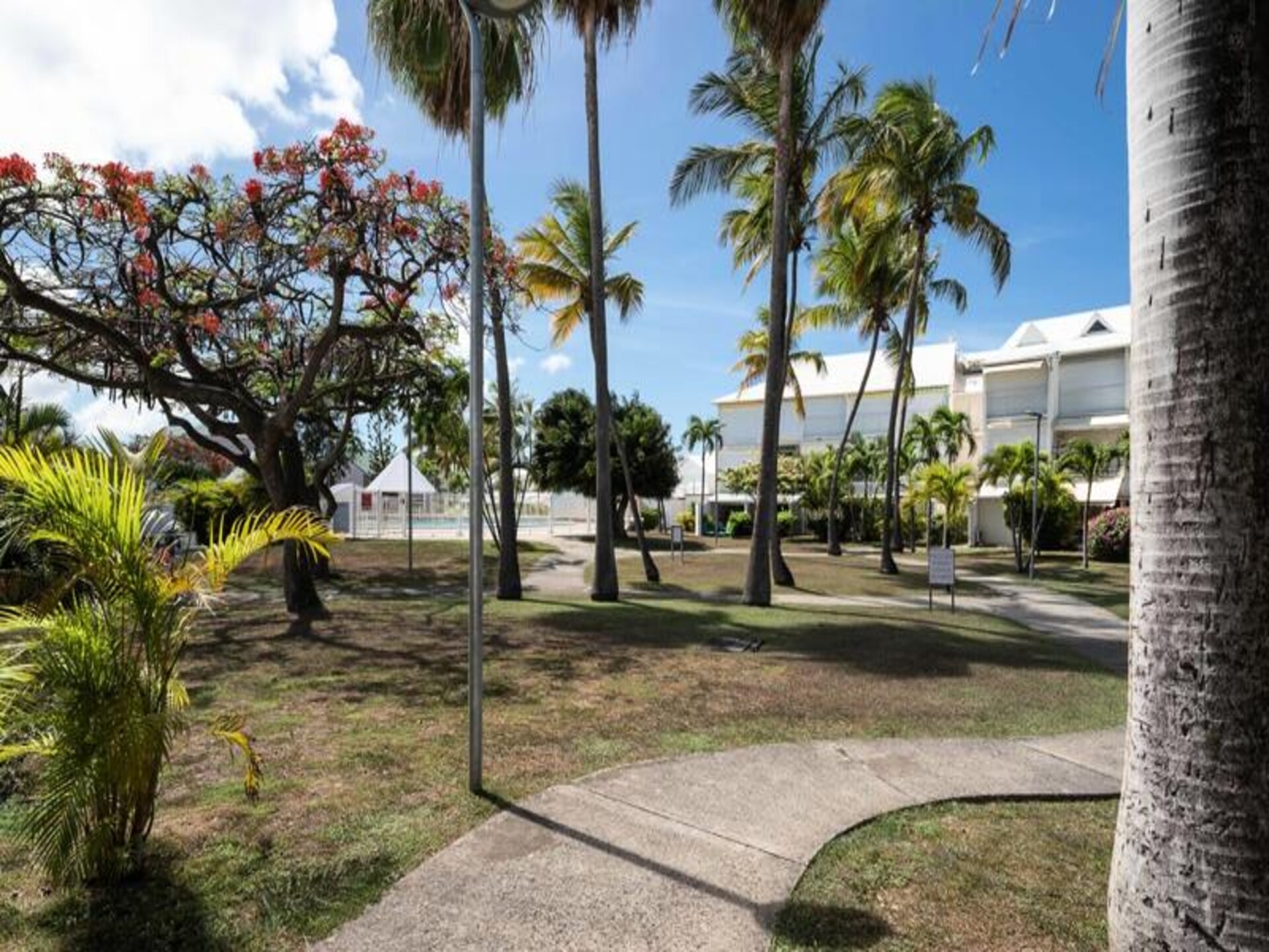 Licht appartement aan jachthaven Saint-François met zwembaden - foto 18