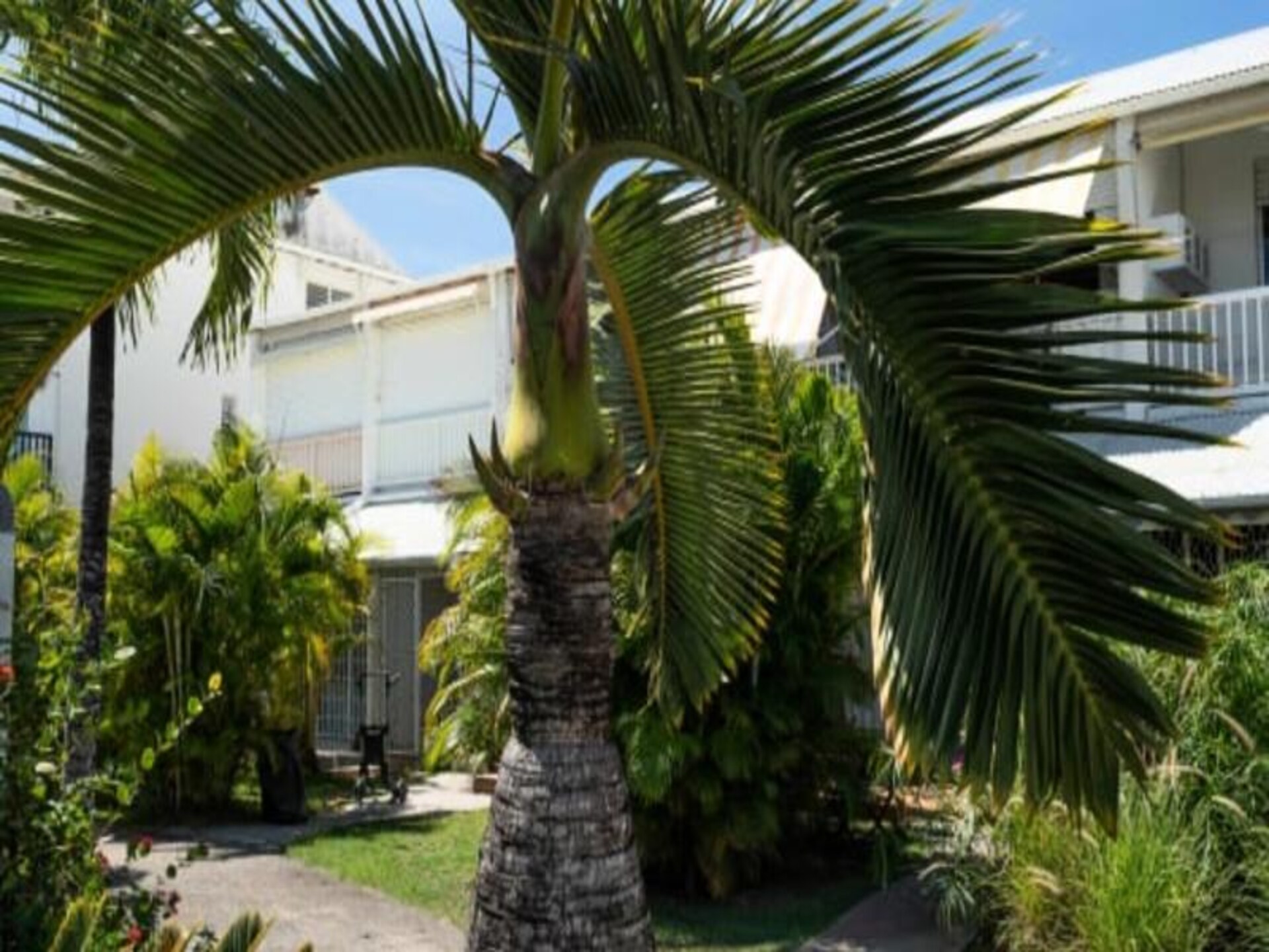 Licht appartement aan jachthaven Saint-François met zwembaden - foto 25