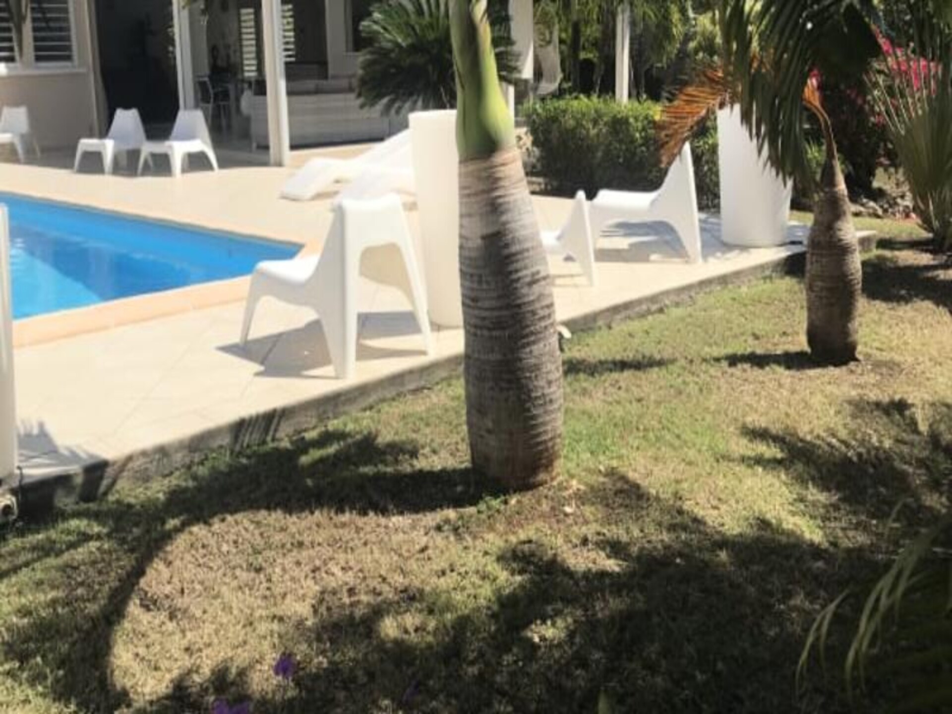 Tropische villa met privézwembad op 10 minuten van Anse des Rochers - foto 13