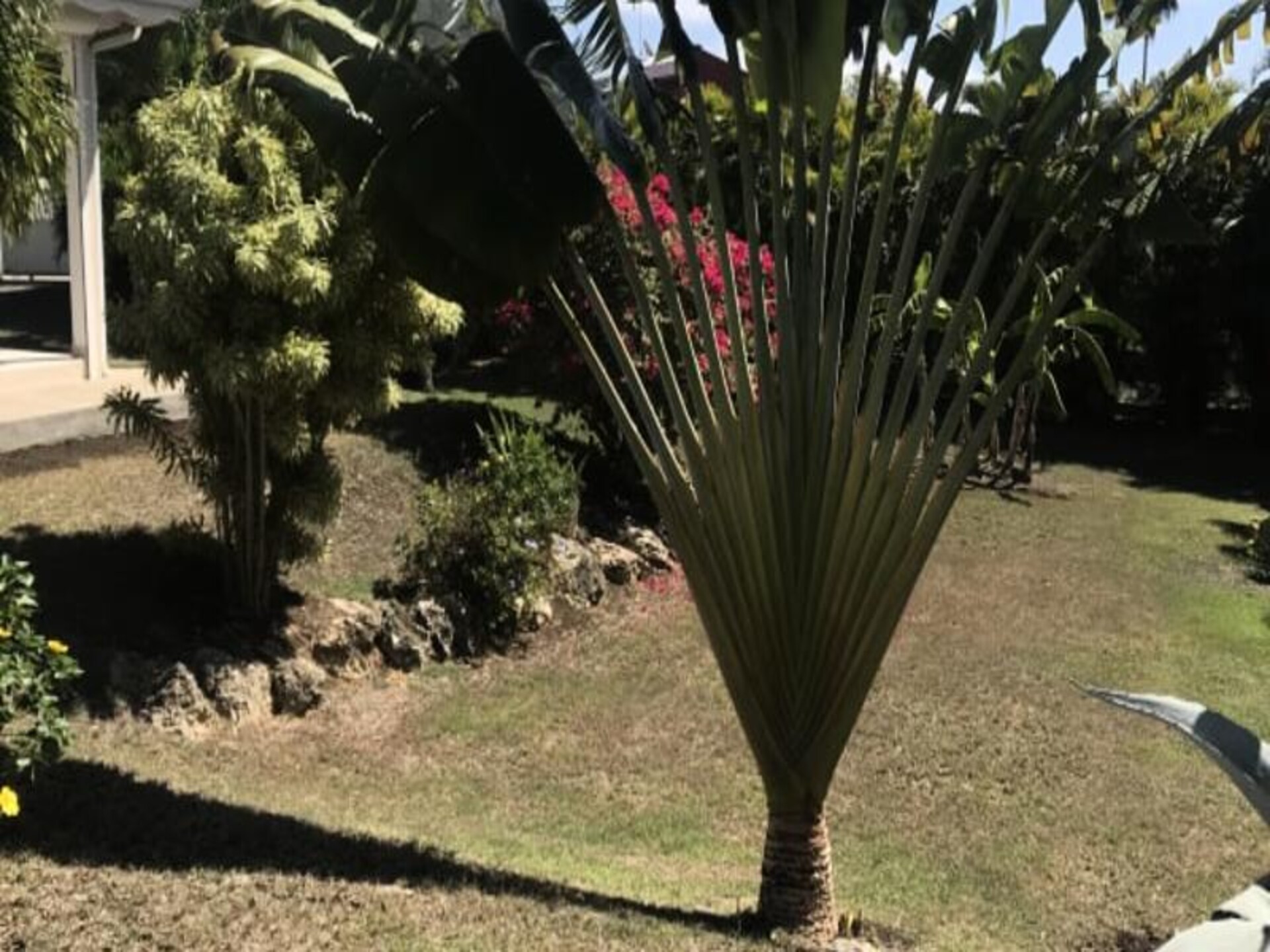 Tropische villa met privézwembad op 10 minuten van Anse des Rochers - foto 43
