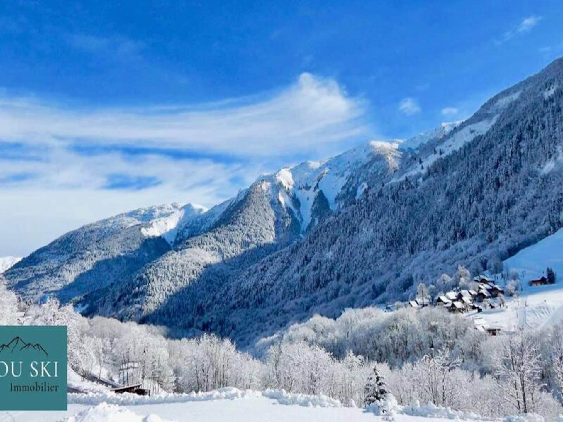 Authentiek duplex appartement aan de piste in Saint Sorlin d'Arves - foto 18