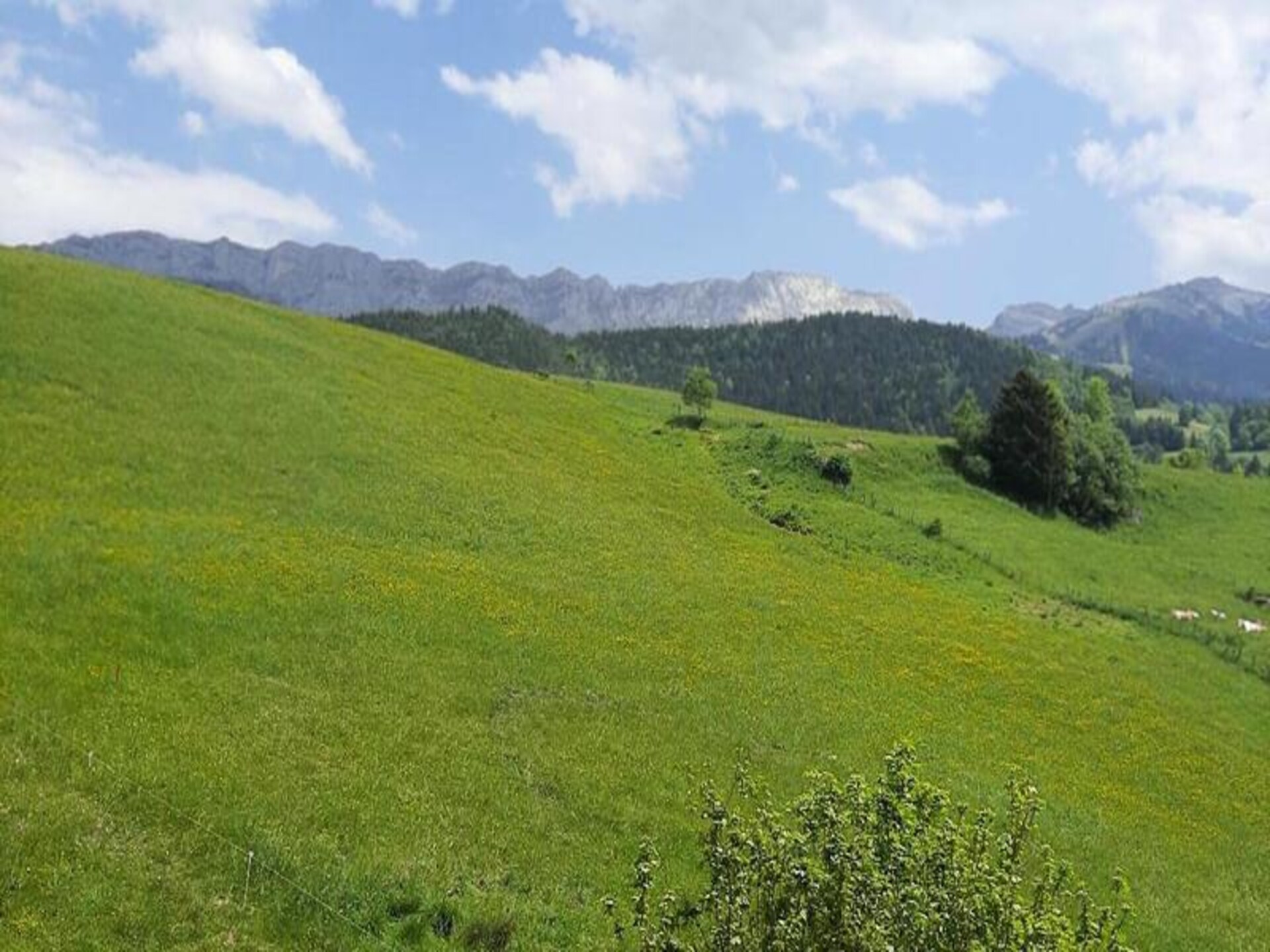 Knus appartement in Villard de Lans met wasmachine, dichtbij de pistes - foto 12