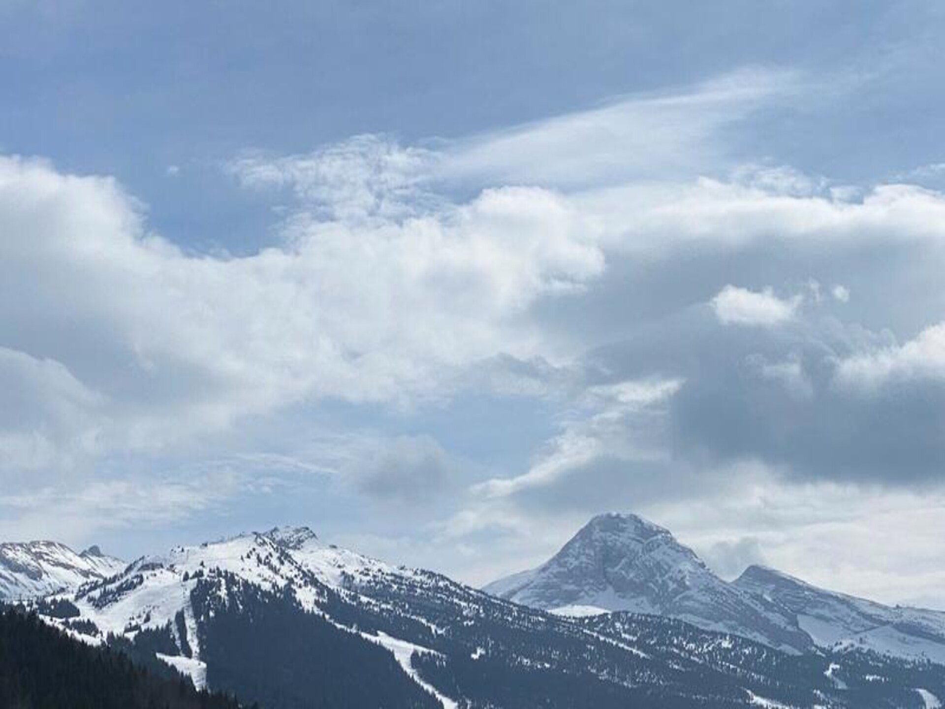 Zonnig duplex-appartement op 5 km van de skipistes in Villard-de-Lans - foto 16