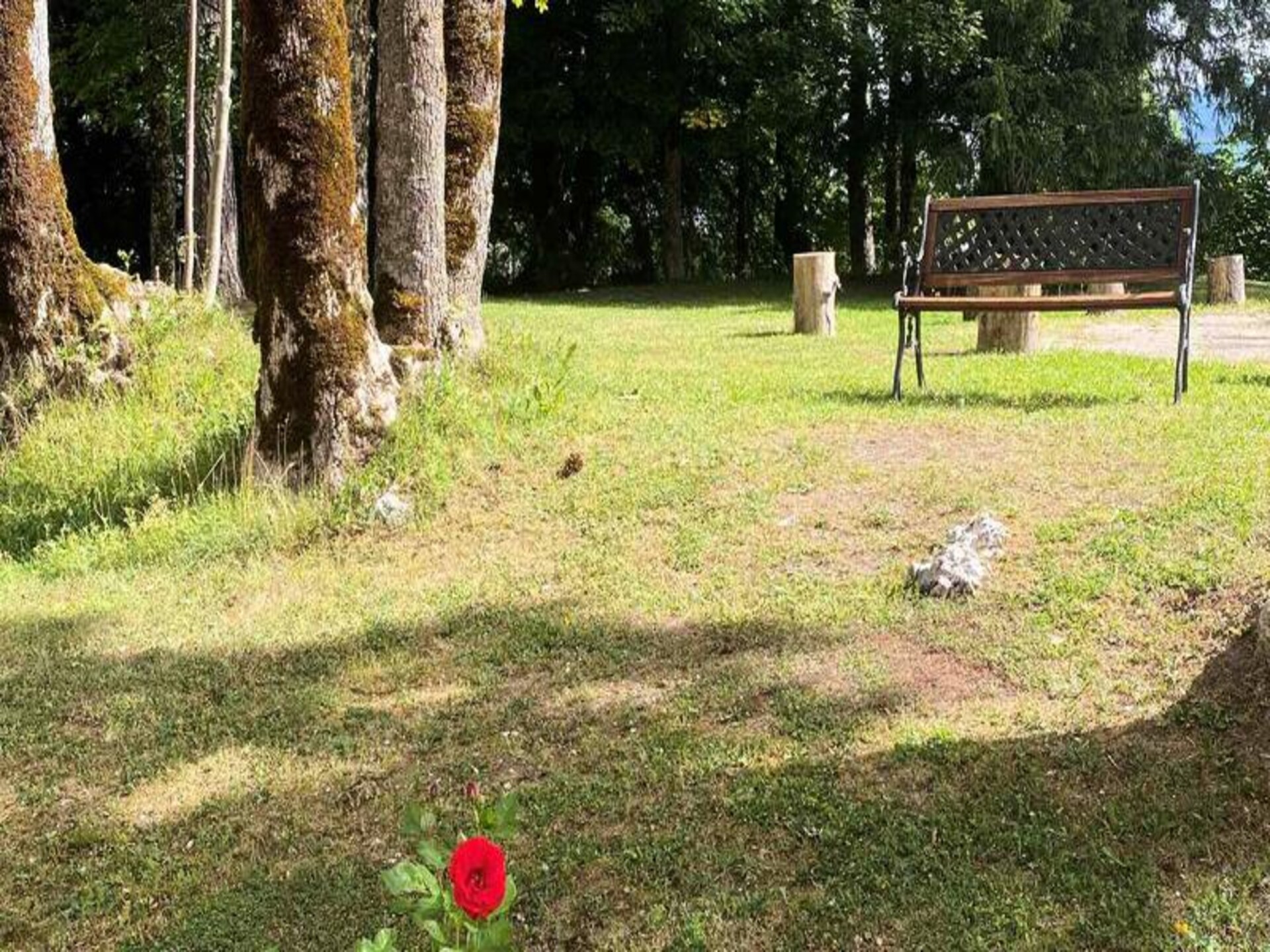 Knus appartement voor 4 personen in Villard-de-Lans, vlakbij het centrum - foto 7