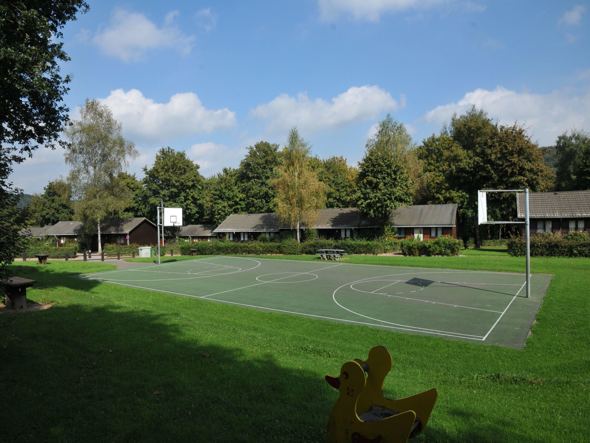 6-persoons houten bungalow in groen Jupille met hondvriendelijk terras - foto 14