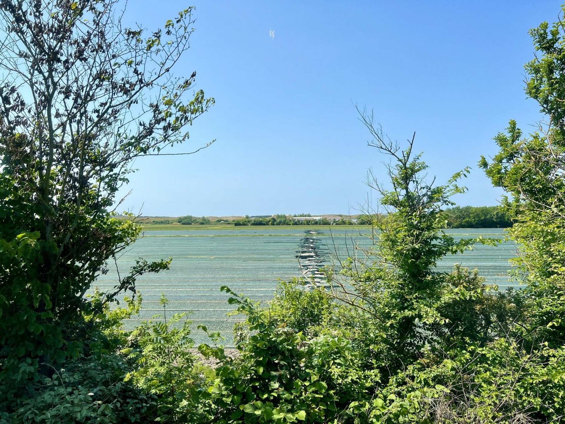 Vrijstaand vakantiehuis Anzelhoef 26 bij strand en bos, Sint Maartenszee - foto 22