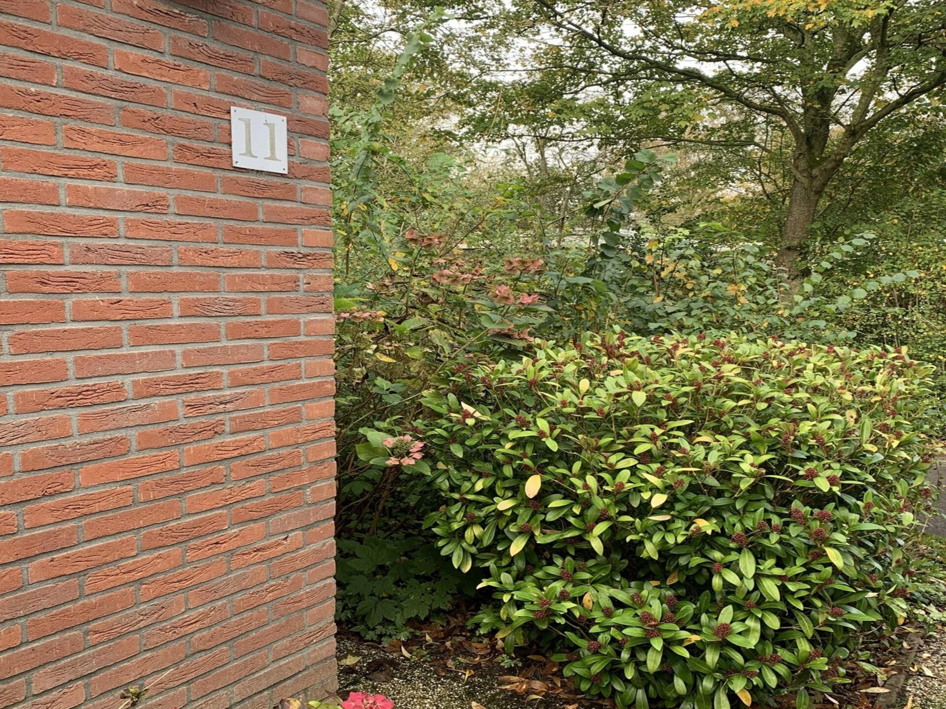 Campanula 11: Luxe vakantiehuis met open haard bij zee - foto 18